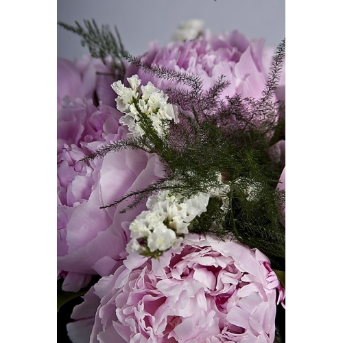 Peony Sensation