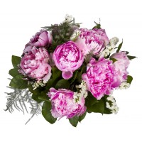 Peony Sensation