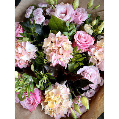 Blush Serenity Blush Serenity